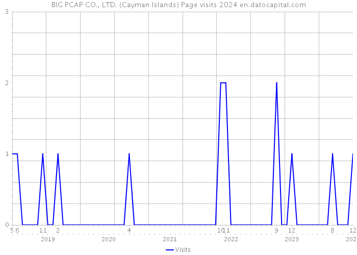 BIG PCAP CO., LTD. (Cayman Islands) Page visits 2024 