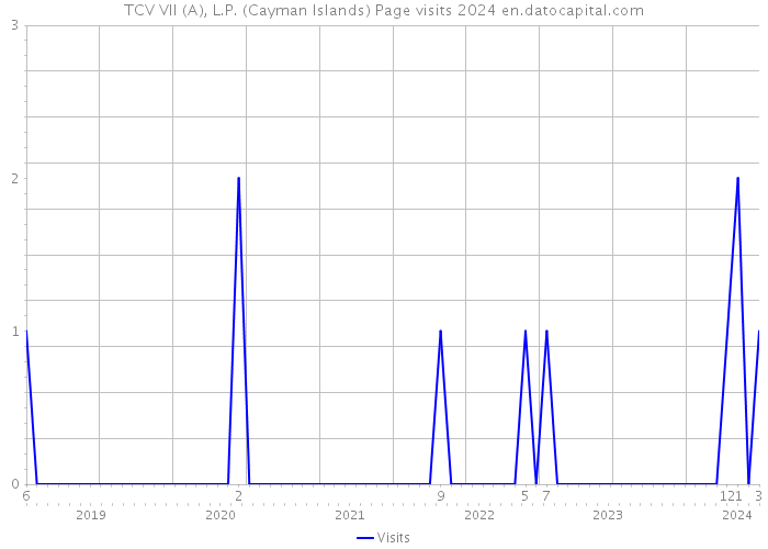 TCV VII (A), L.P. (Cayman Islands) Page visits 2024 