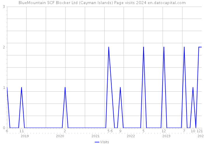 BlueMountain SCF Blocker Ltd (Cayman Islands) Page visits 2024 