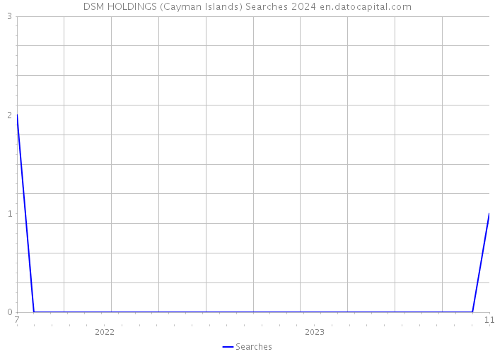 DSM HOLDINGS (Cayman Islands) Searches 2024 