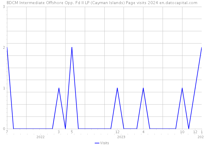 BDCM Intermediate Offshore Opp. Fd II LP (Cayman Islands) Page visits 2024 