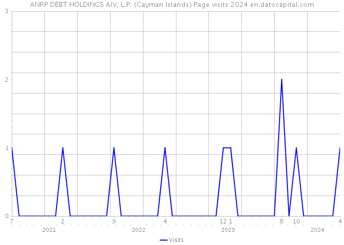 ANRP DEBT HOLDINGS AIV, L.P. (Cayman Islands) Page visits 2024 