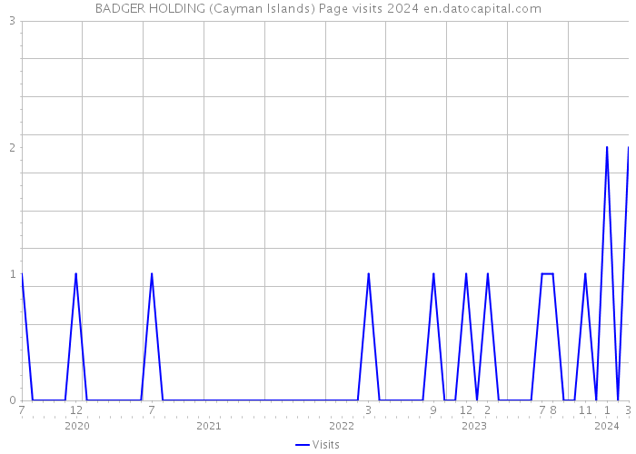 BADGER HOLDING (Cayman Islands) Page visits 2024 