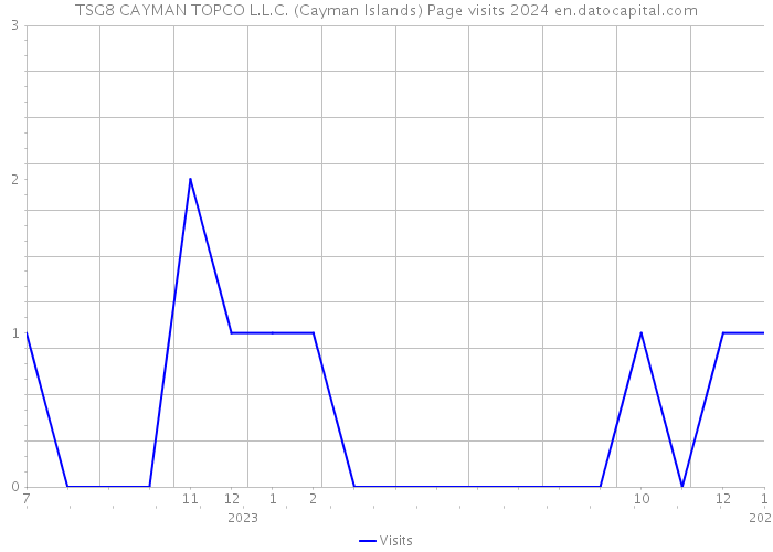 TSG8 CAYMAN TOPCO L.L.C. (Cayman Islands) Page visits 2024 