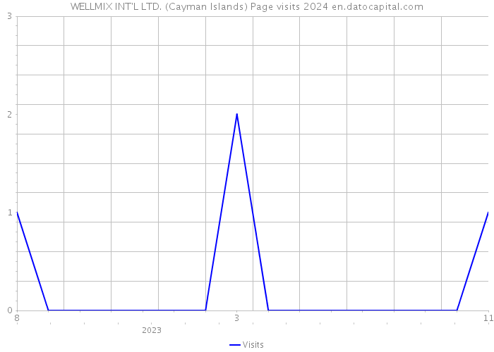 WELLMIX INT'L LTD. (Cayman Islands) Page visits 2024 