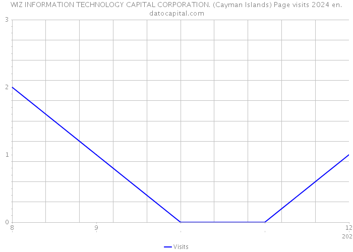WIZ INFORMATION TECHNOLOGY CAPITAL CORPORATION. (Cayman Islands) Page visits 2024 