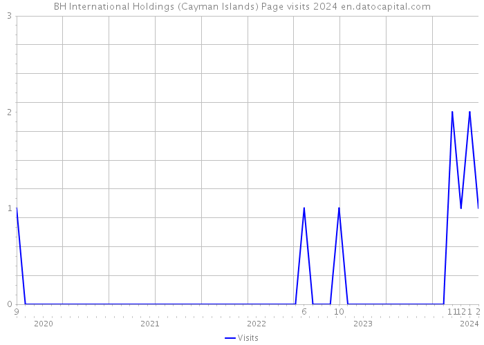 BH International Holdings (Cayman Islands) Page visits 2024 