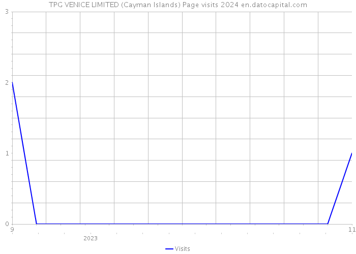 TPG VENICE LIMITED (Cayman Islands) Page visits 2024 