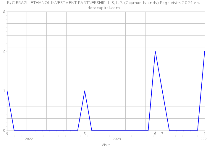 R/C BRAZIL ETHANOL INVESTMENT PARTNERSHIP II-B, L.P. (Cayman Islands) Page visits 2024 