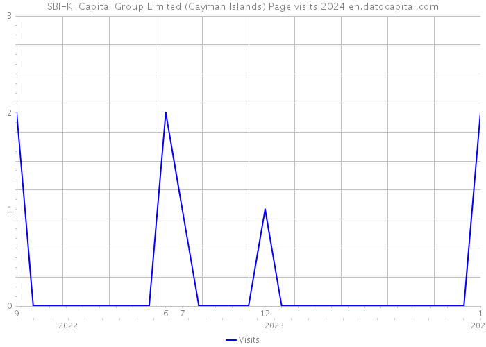 SBI-KI Capital Group Limited (Cayman Islands) Page visits 2024 