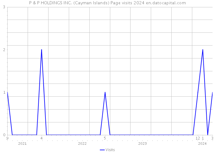 P & P HOLDINGS INC. (Cayman Islands) Page visits 2024 