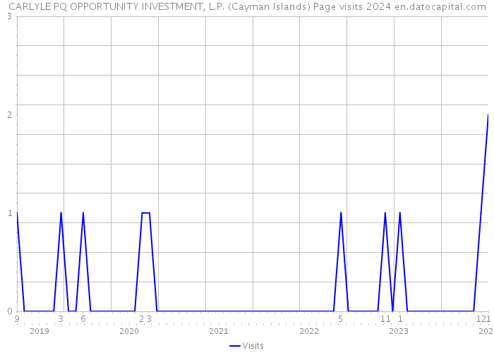 CARLYLE PQ OPPORTUNITY INVESTMENT, L.P. (Cayman Islands) Page visits 2024 