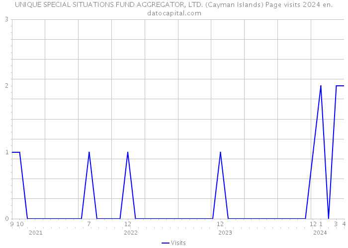 UNIQUE SPECIAL SITUATIONS FUND AGGREGATOR, LTD. (Cayman Islands) Page visits 2024 