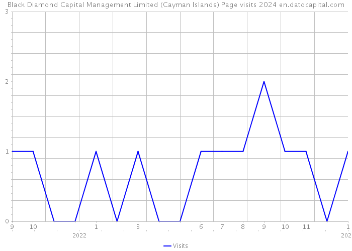 Black Diamond Capital Management Limited (Cayman Islands) Page visits 2024 