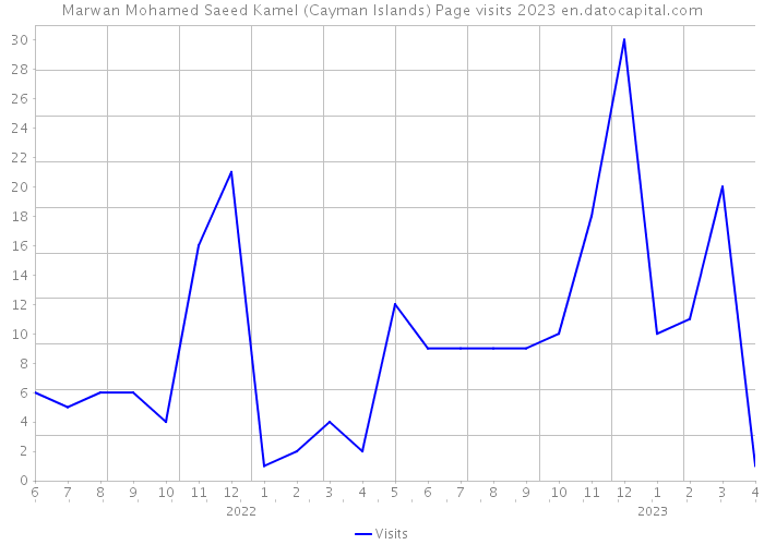 Marwan Mohamed Saeed Kamel (Cayman Islands) Page visits 2023 