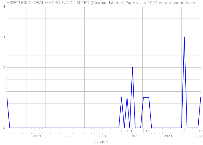 ASPETUCK GLOBAL MACRO FUND LIMITED (Cayman Islands) Page visits 2024 