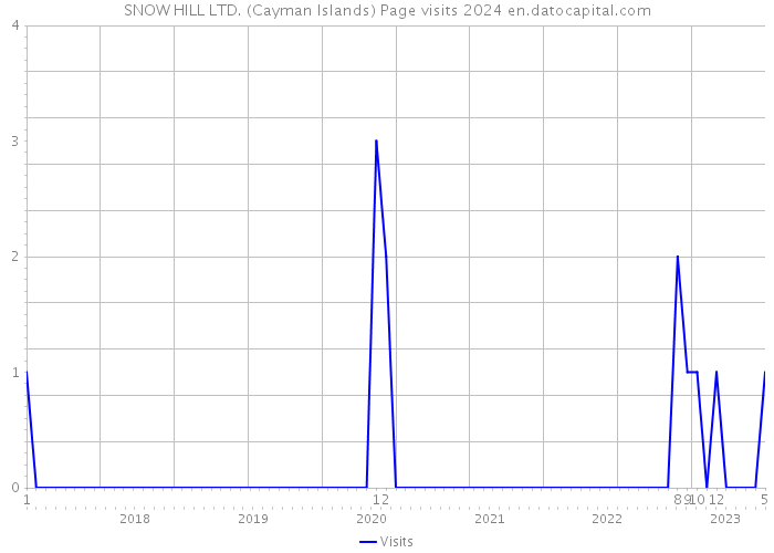SNOW HILL LTD. (Cayman Islands) Page visits 2024 