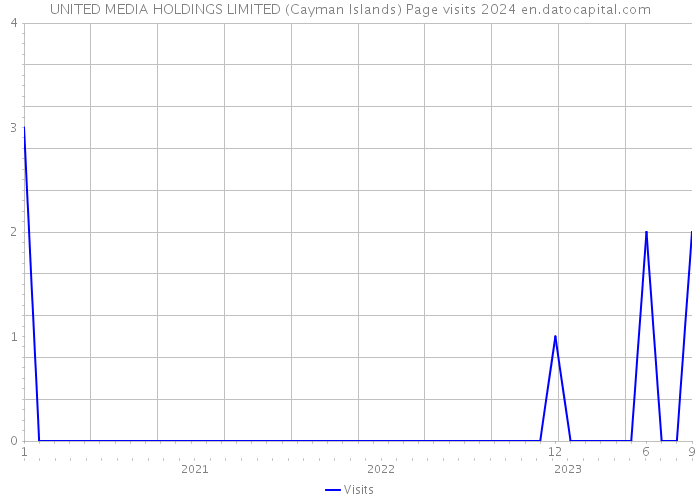 UNITED MEDIA HOLDINGS LIMITED (Cayman Islands) Page visits 2024 