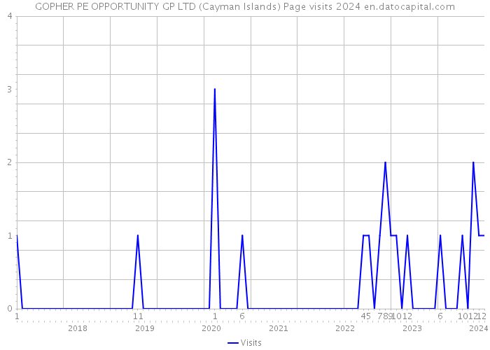 GOPHER PE OPPORTUNITY GP LTD (Cayman Islands) Page visits 2024 