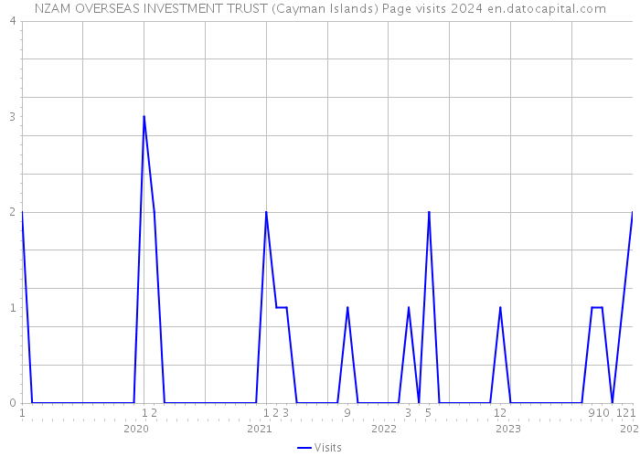 NZAM OVERSEAS INVESTMENT TRUST (Cayman Islands) Page visits 2024 