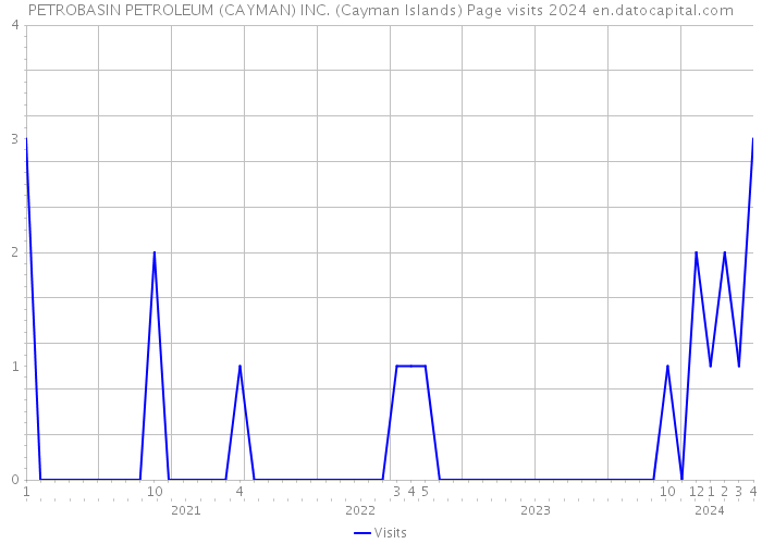 PETROBASIN PETROLEUM (CAYMAN) INC. (Cayman Islands) Page visits 2024 