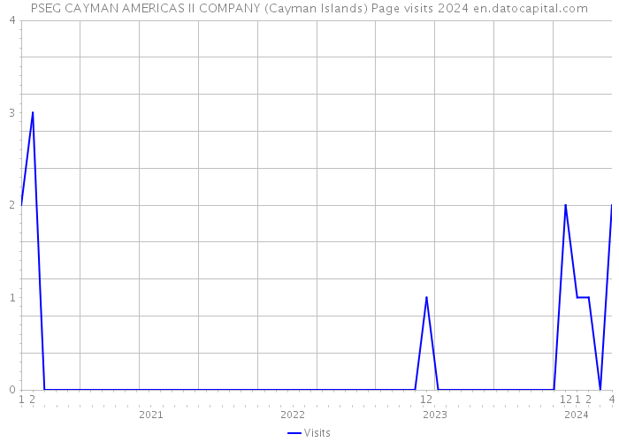 PSEG CAYMAN AMERICAS II COMPANY (Cayman Islands) Page visits 2024 