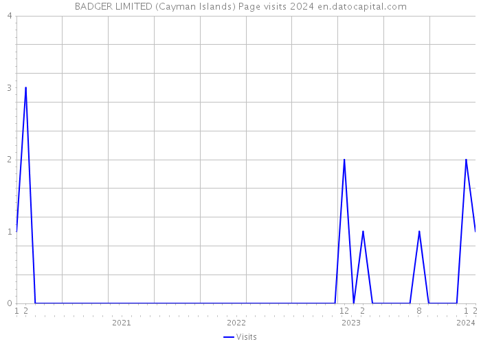BADGER LIMITED (Cayman Islands) Page visits 2024 