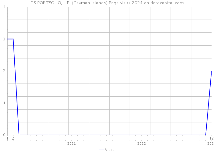 DS PORTFOLIO, L.P. (Cayman Islands) Page visits 2024 