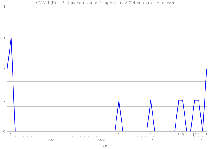 TCV VIII (B), L.P. (Cayman Islands) Page visits 2024 