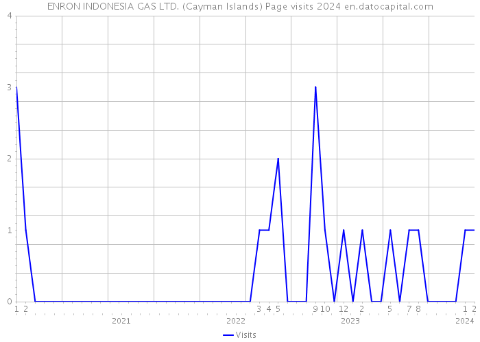 ENRON INDONESIA GAS LTD. (Cayman Islands) Page visits 2024 