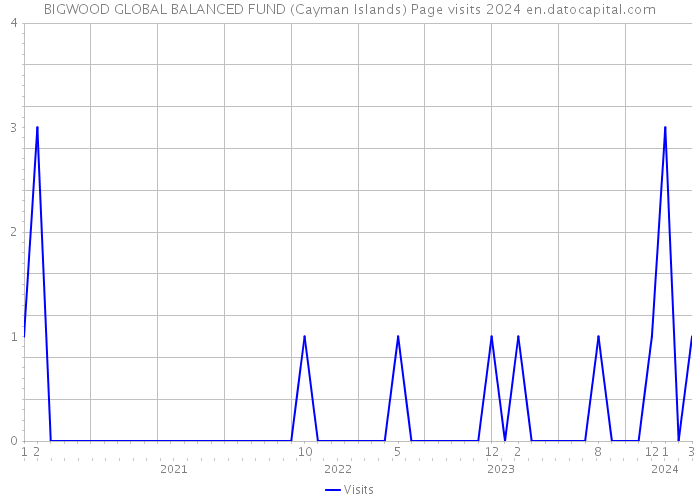 BIGWOOD GLOBAL BALANCED FUND (Cayman Islands) Page visits 2024 