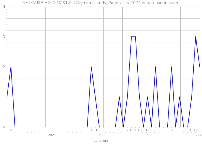AMI CABLE HOLDINGS L.P. (Cayman Islands) Page visits 2024 