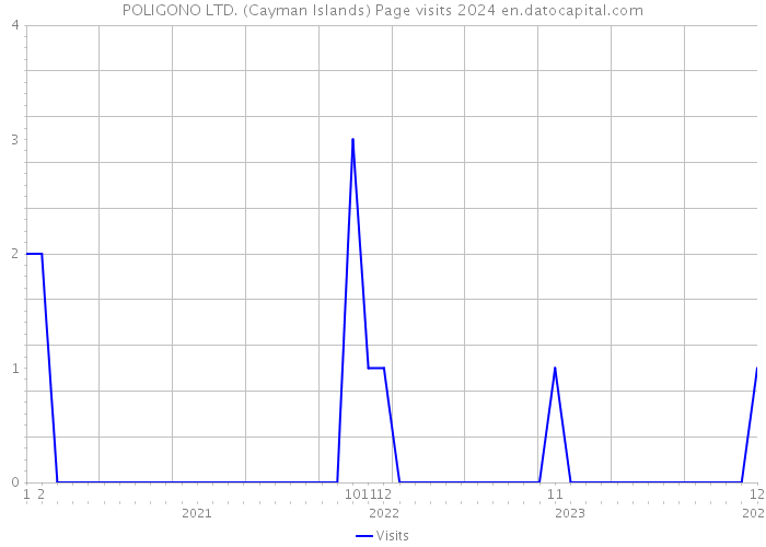 POLIGONO LTD. (Cayman Islands) Page visits 2024 