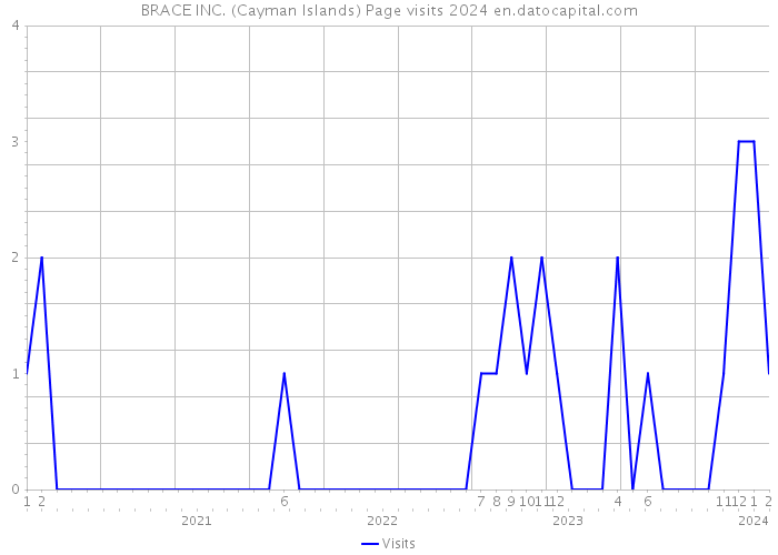 BRACE INC. (Cayman Islands) Page visits 2024 