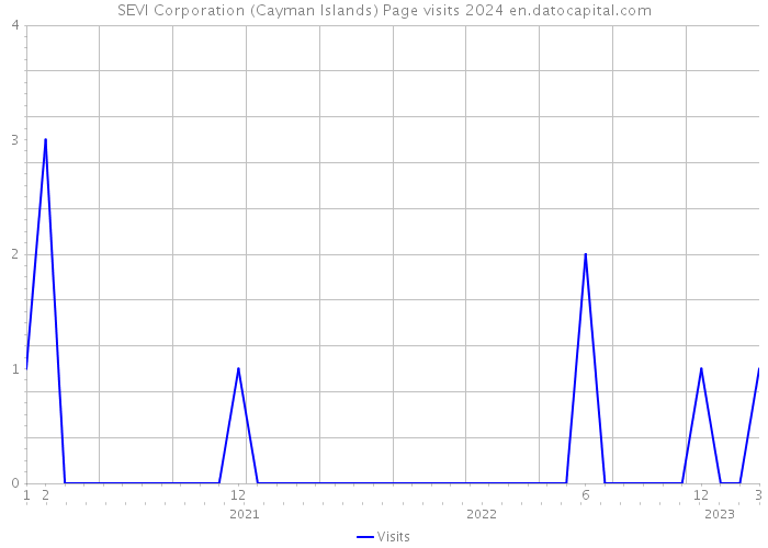 SEVI Corporation (Cayman Islands) Page visits 2024 