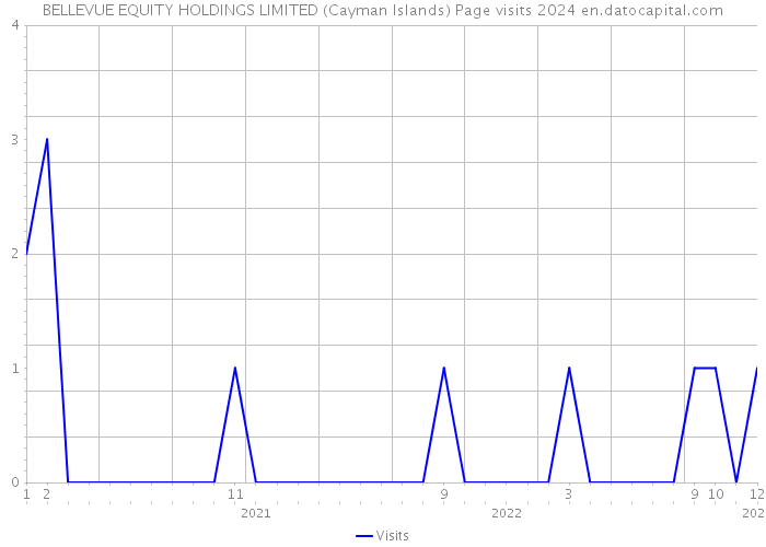 BELLEVUE EQUITY HOLDINGS LIMITED (Cayman Islands) Page visits 2024 