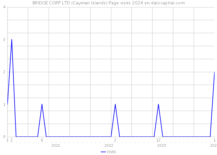 BRIDGE CORP LTD (Cayman Islands) Page visits 2024 