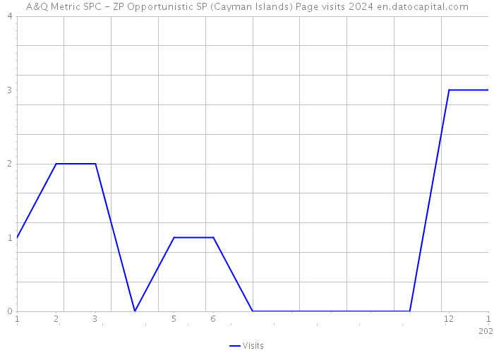 A&Q Metric SPC - ZP Opportunistic SP (Cayman Islands) Page visits 2024 