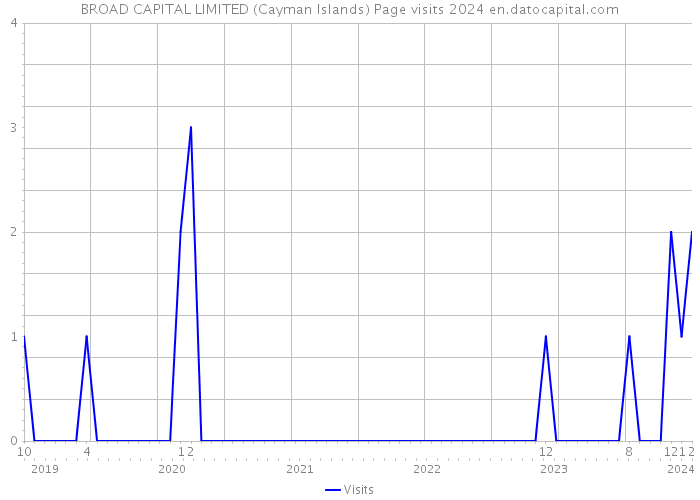BROAD CAPITAL LIMITED (Cayman Islands) Page visits 2024 