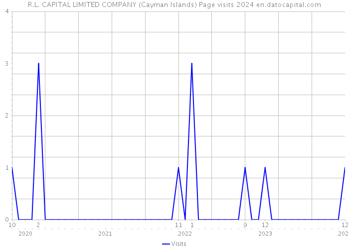 R.L. CAPITAL LIMITED COMPANY (Cayman Islands) Page visits 2024 