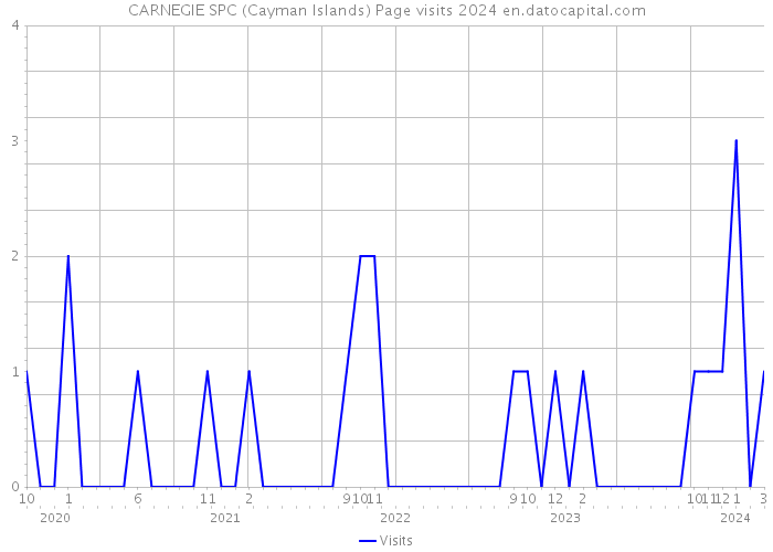 CARNEGIE SPC (Cayman Islands) Page visits 2024 
