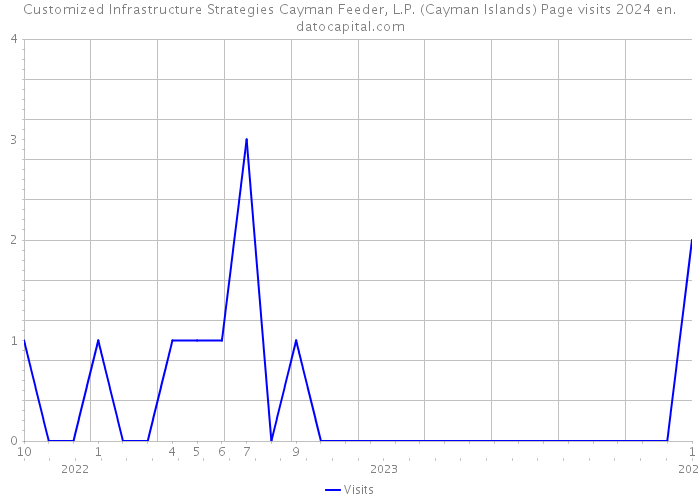 Customized Infrastructure Strategies Cayman Feeder, L.P. (Cayman Islands) Page visits 2024 