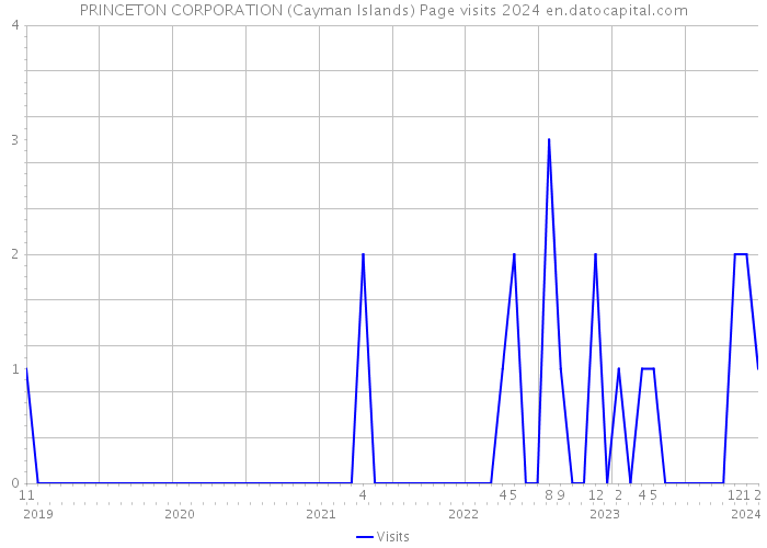 PRINCETON CORPORATION (Cayman Islands) Page visits 2024 