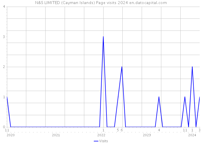 N&S LIMITED (Cayman Islands) Page visits 2024 