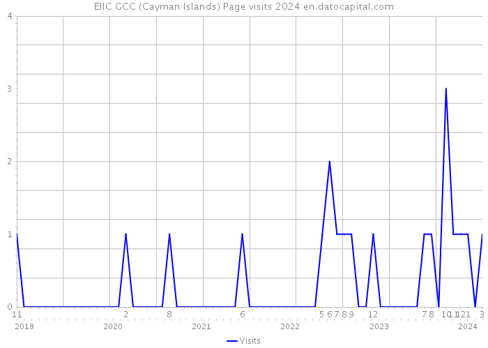 EIIC GCC (Cayman Islands) Page visits 2024 