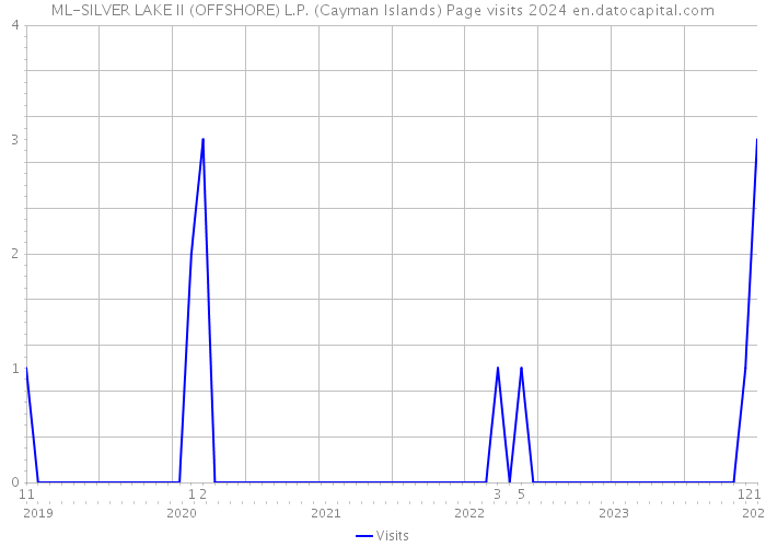 ML-SILVER LAKE II (OFFSHORE) L.P. (Cayman Islands) Page visits 2024 