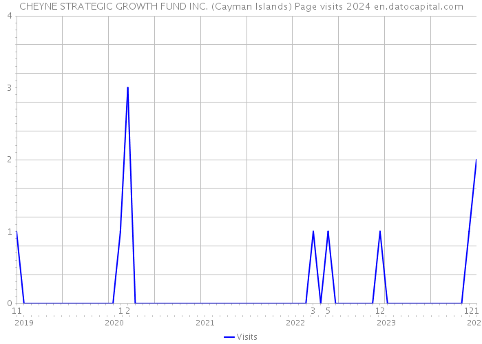 CHEYNE STRATEGIC GROWTH FUND INC. (Cayman Islands) Page visits 2024 
