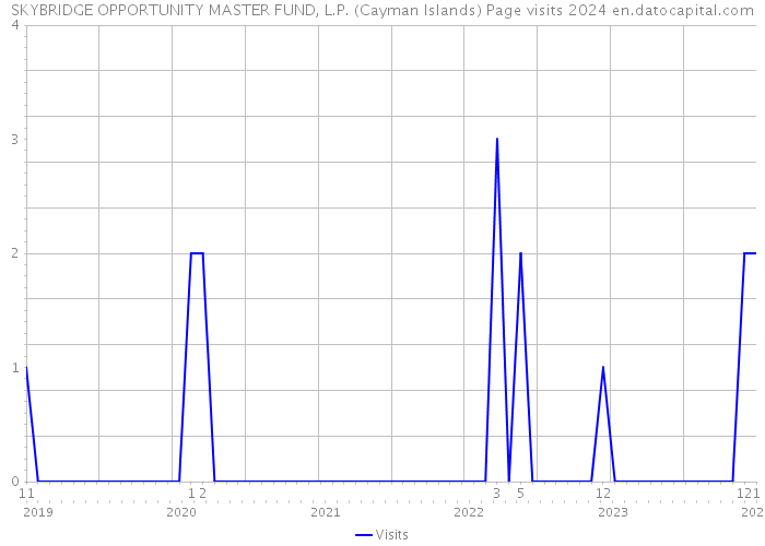 SKYBRIDGE OPPORTUNITY MASTER FUND, L.P. (Cayman Islands) Page visits 2024 