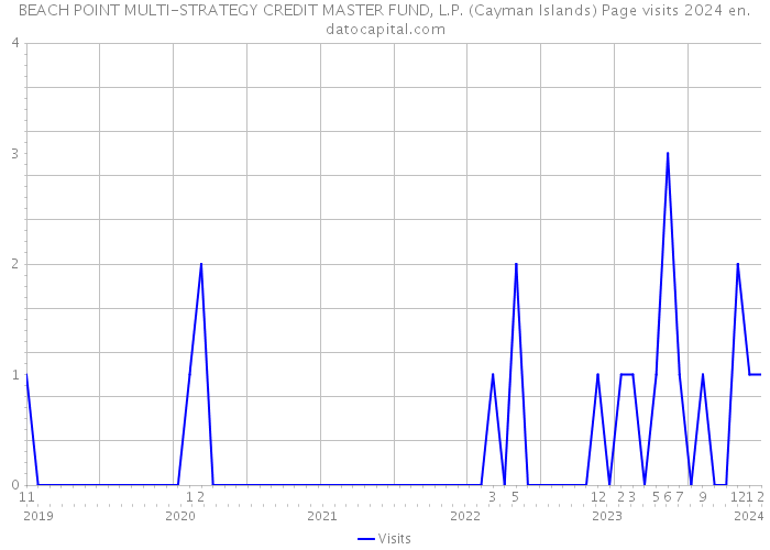 BEACH POINT MULTI-STRATEGY CREDIT MASTER FUND, L.P. (Cayman Islands) Page visits 2024 
