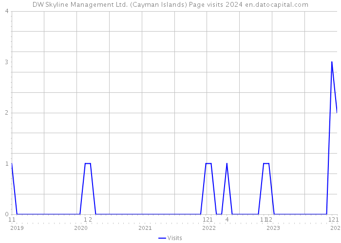 DW Skyline Management Ltd. (Cayman Islands) Page visits 2024 